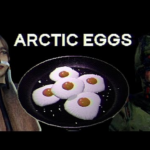 09 Games Like Arctic Eggs